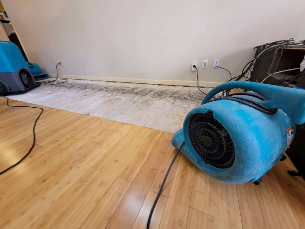 Professional Sewage Cleanup technician working in White Oak, MD